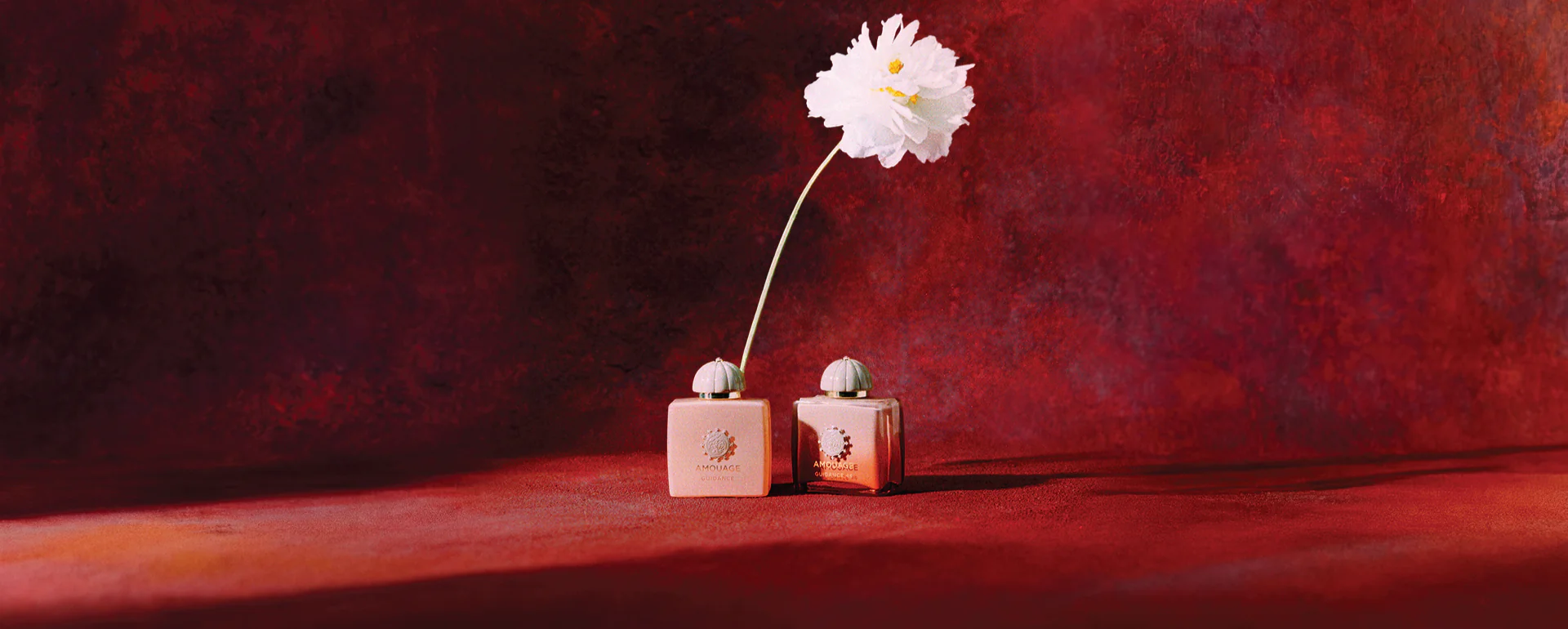Elevate Your Sanctuary's Scent Profile